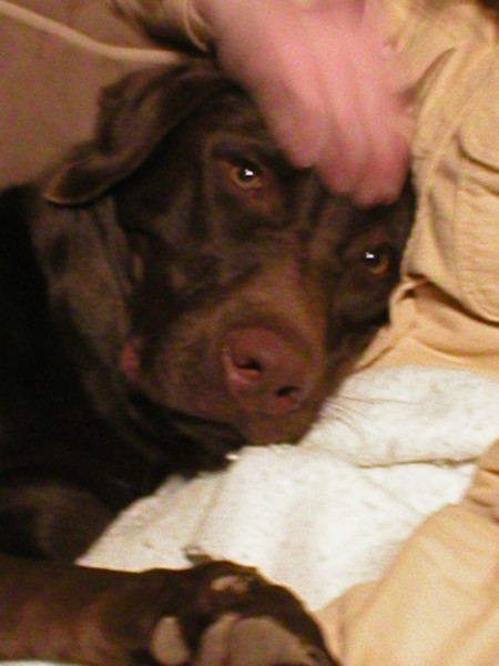 Katie and Annie 4.jpg